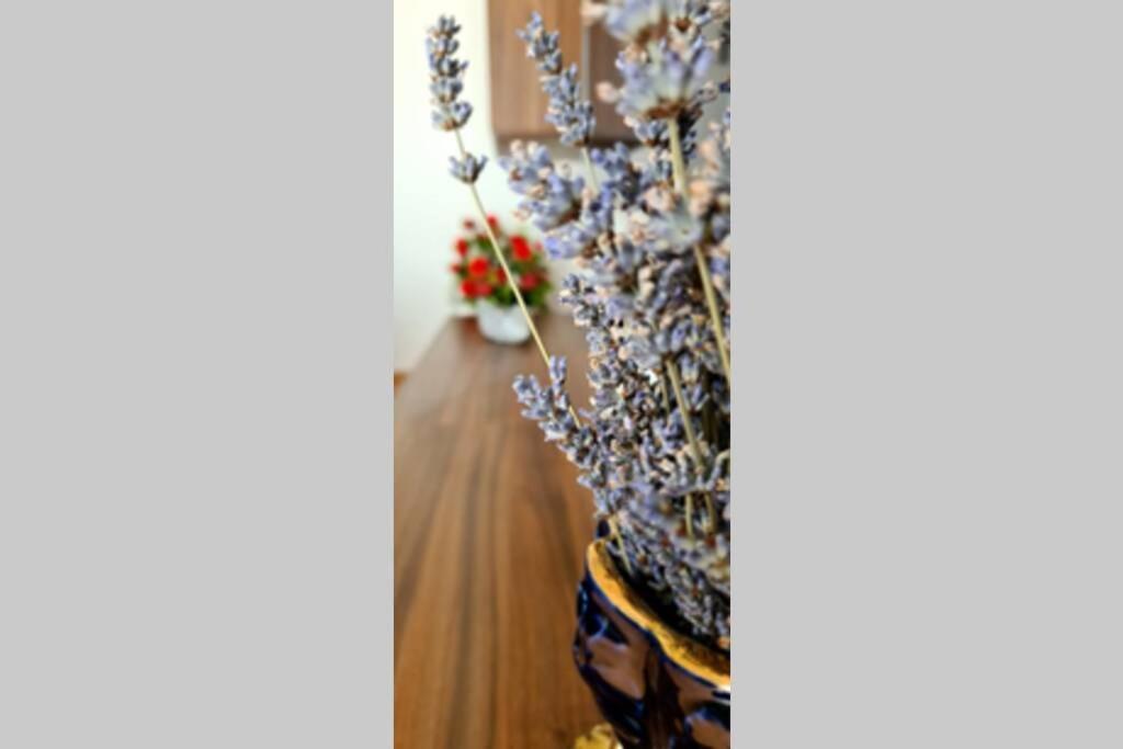 Mitros Apartment مالينسكا المظهر الخارجي الصورة